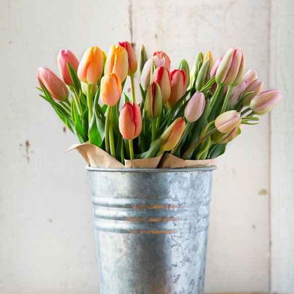 Meet your Posher, Gill - Picture 1 of 2